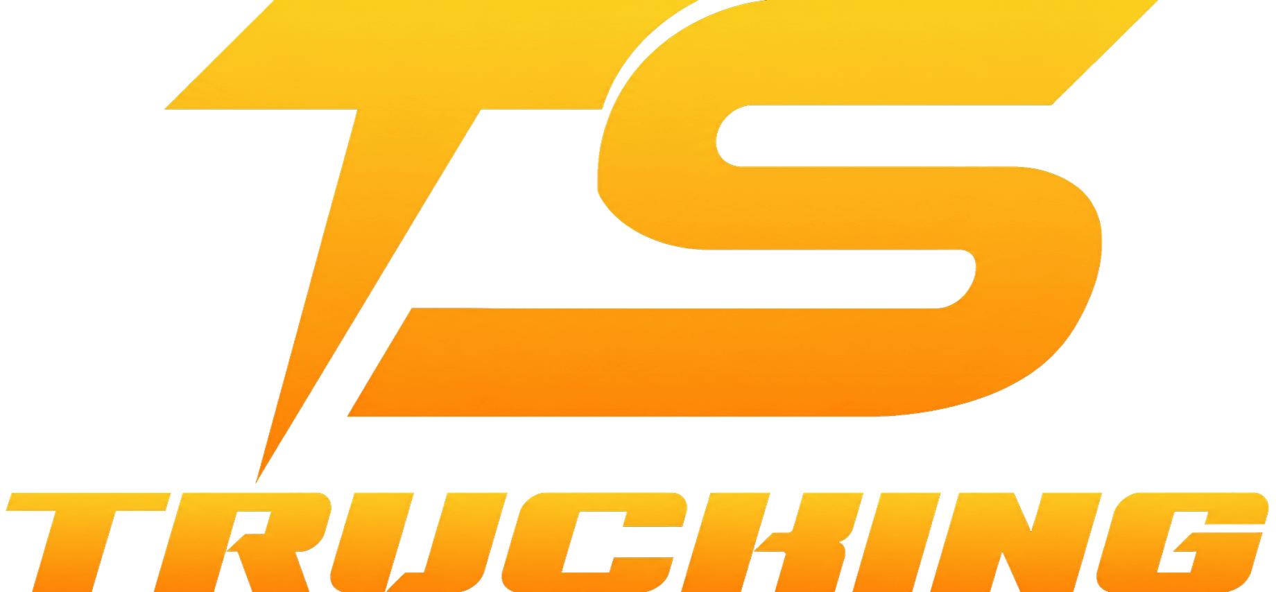 TS